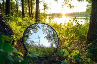 Round Mirror Reflecting Forest Landscape at Sunset