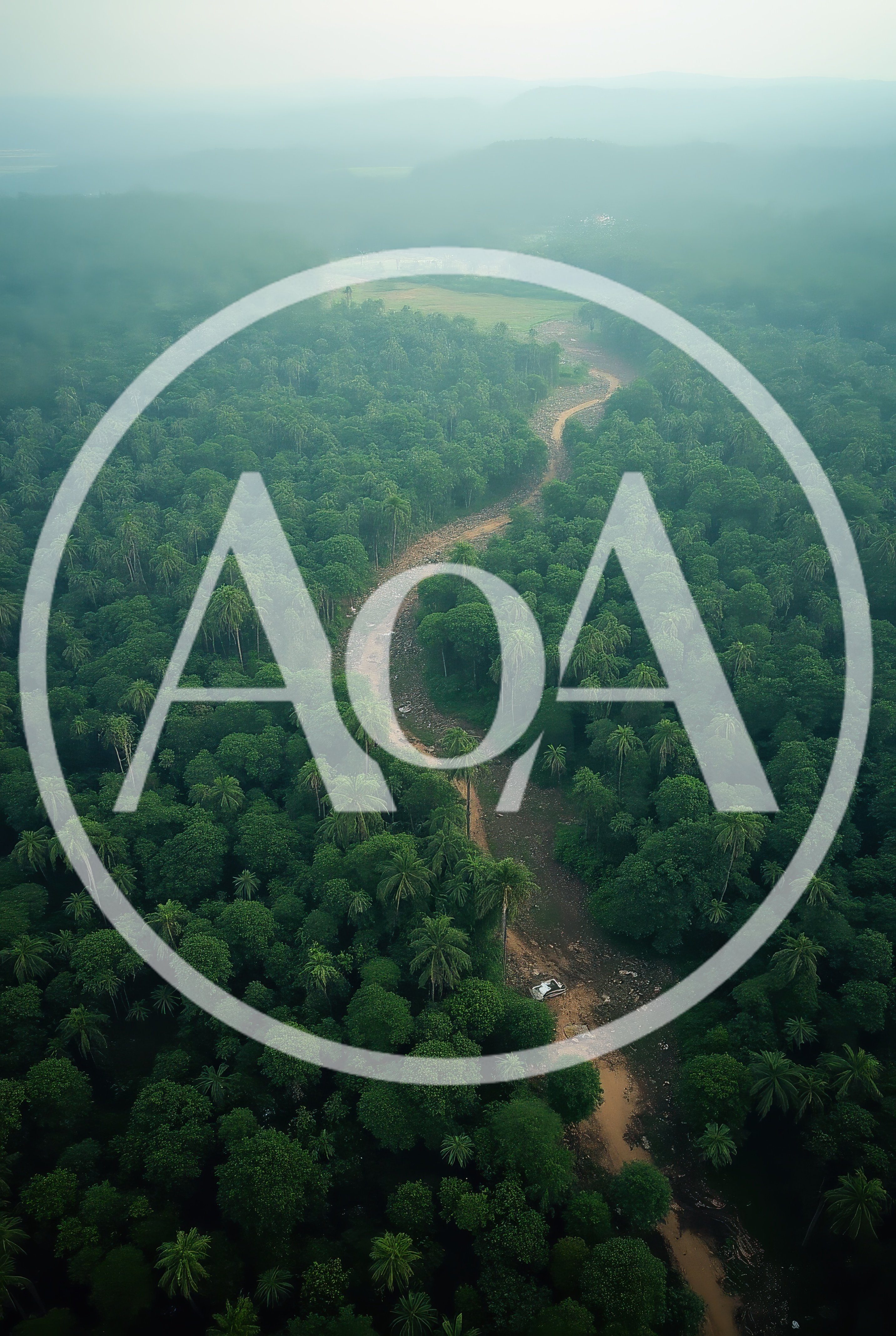 Aerial View Of A Vehicle In A Lush Forest