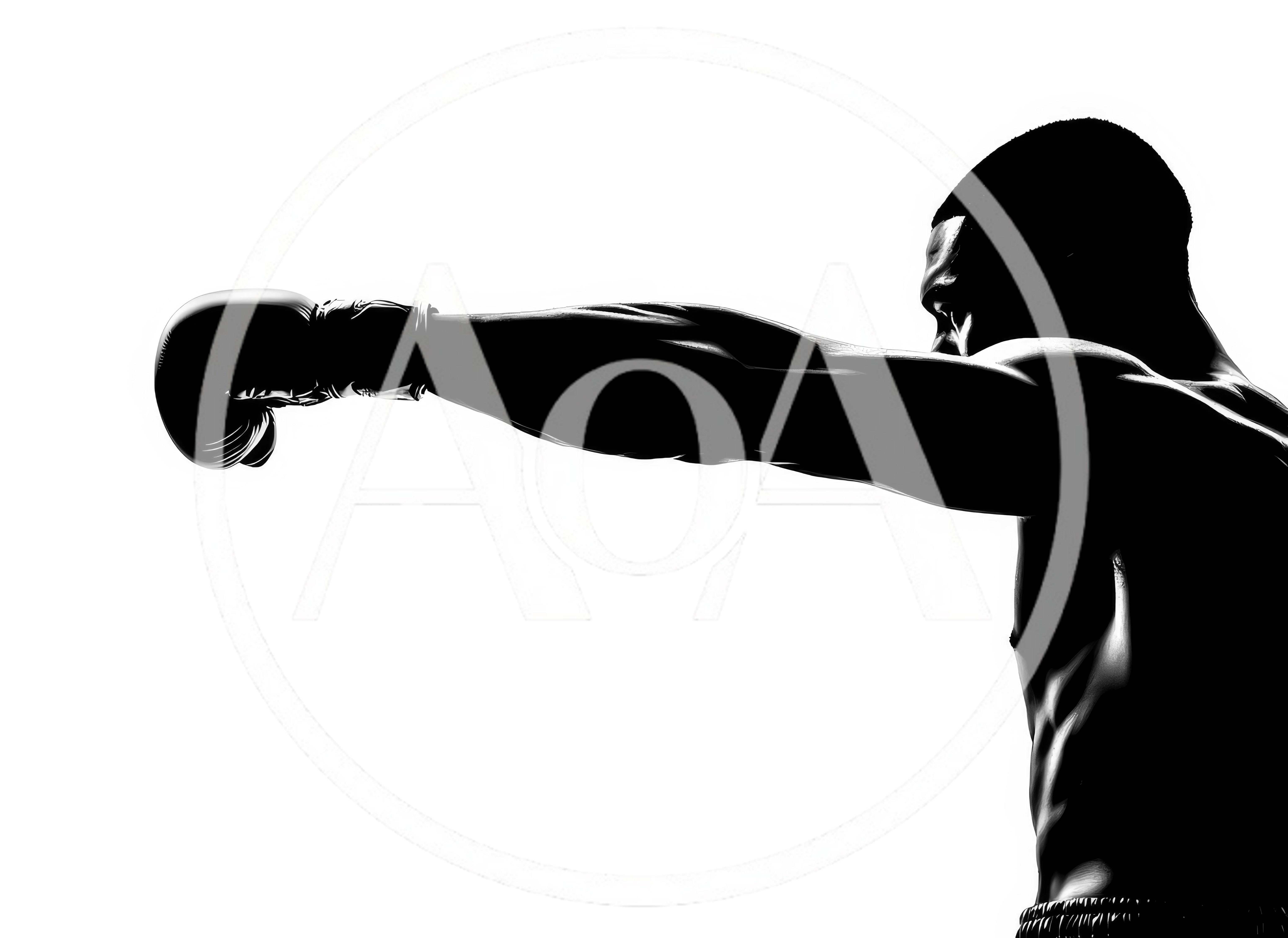 Silhouette Of A Boxer Throwing A Punch