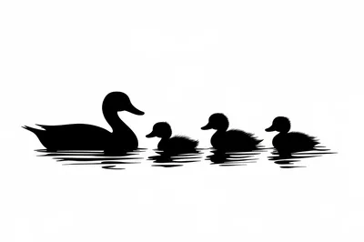 Silhouette Of A Mother Duck With Three Ducklings