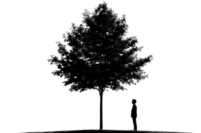 Silhouette Of A Person Standing Under A Large Tree