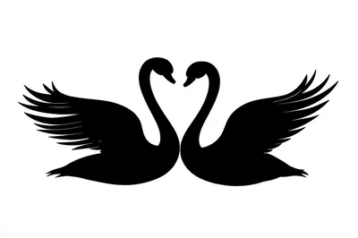 Black Swan Silhouette Heart Shape Illustration