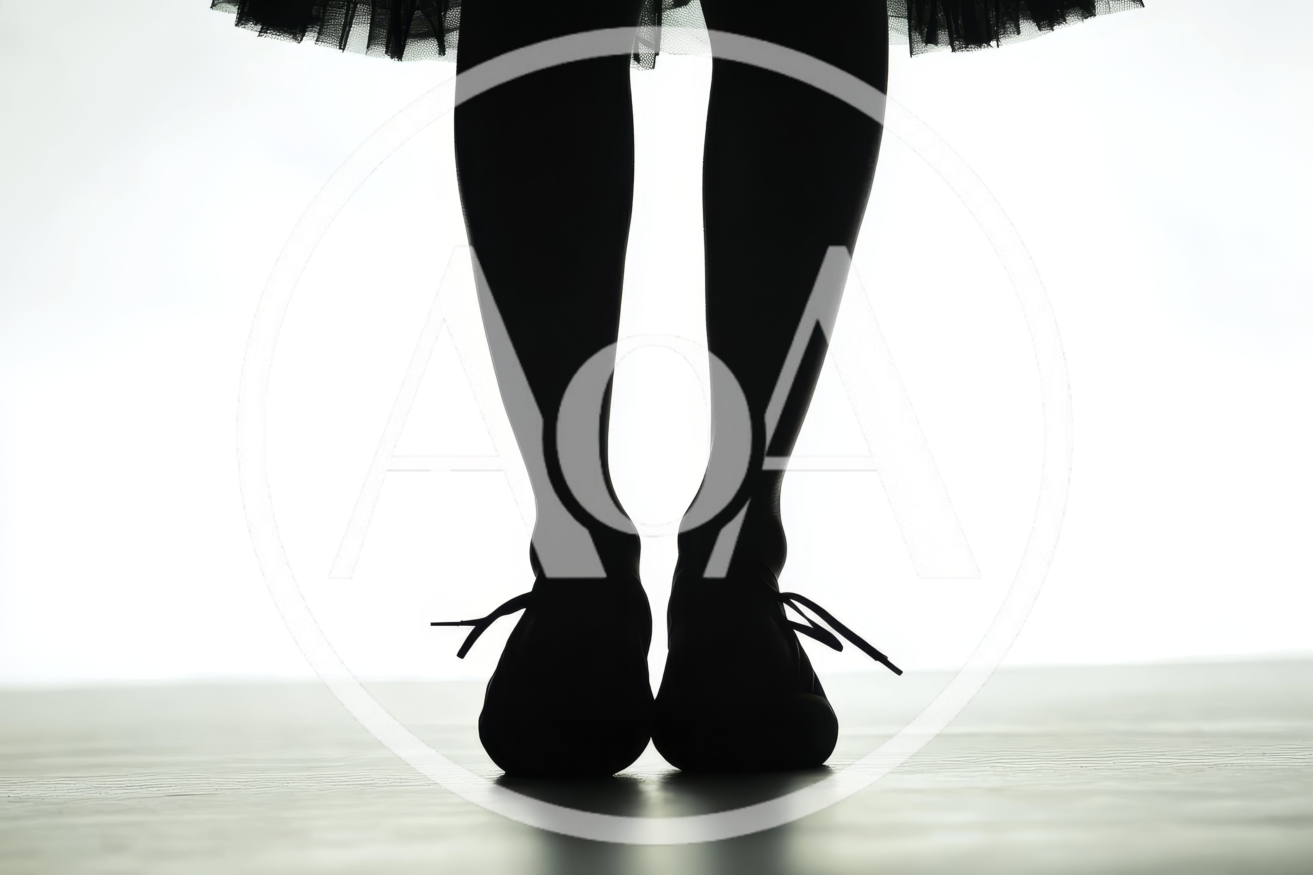 Silhouette Of A Dancer Standing In Ballet Shoes