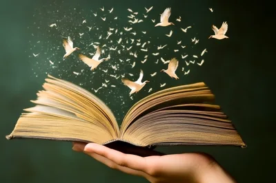 Open Book With Magical Birds Flying Out