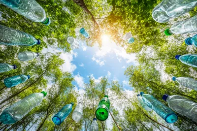 Plastic Bottles Floating Above Lush Green Forest Canopy