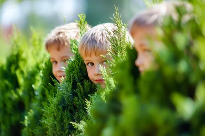 Three Young Boys Playing Hide And Seek In Garden