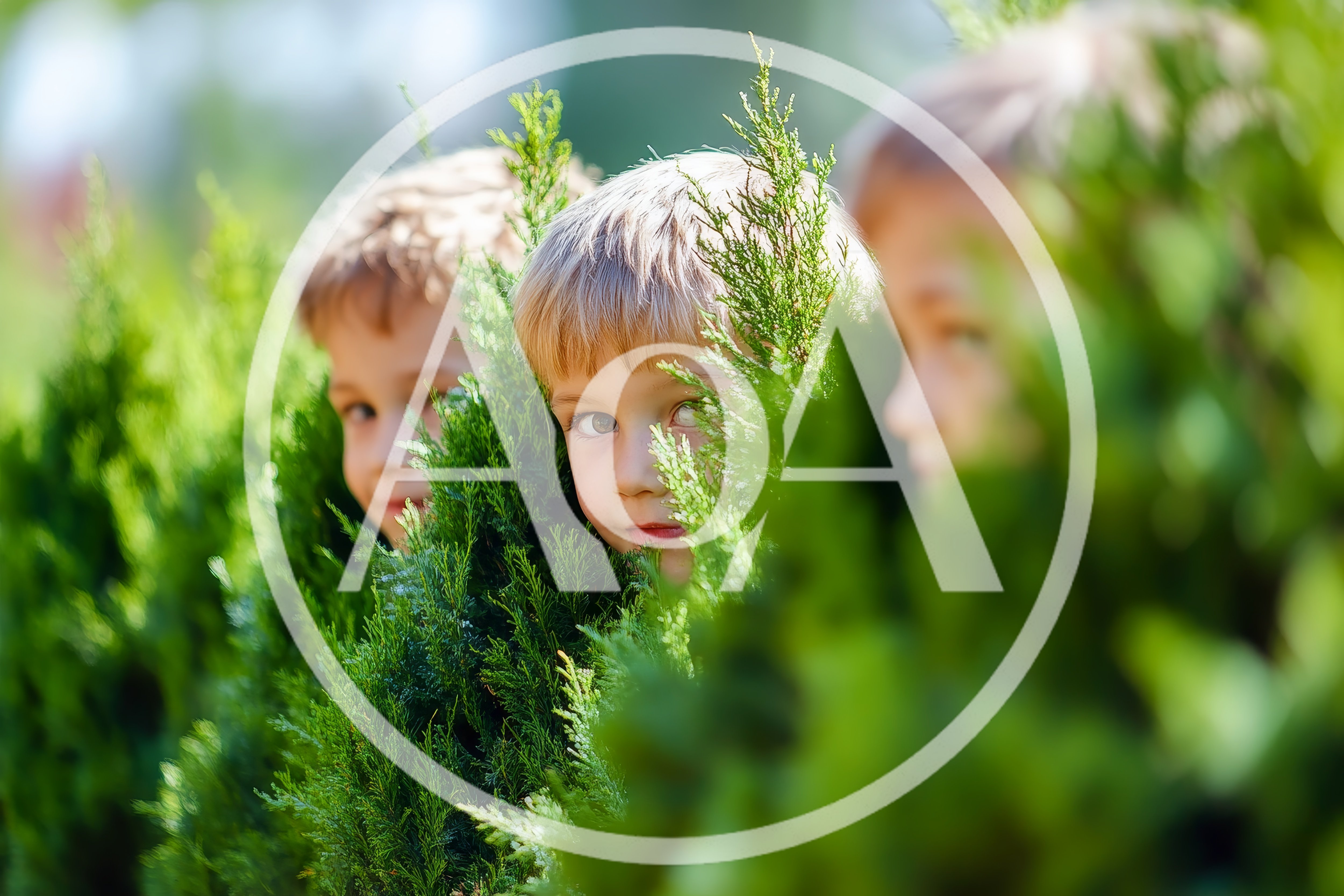 Three Young Boys Playing Hide And Seek In Garden