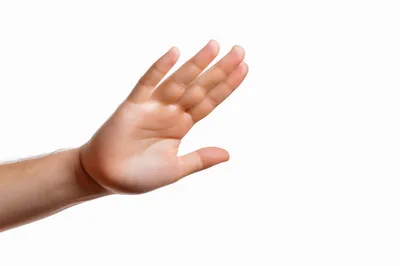 Human Hand Making A Stop Gesture