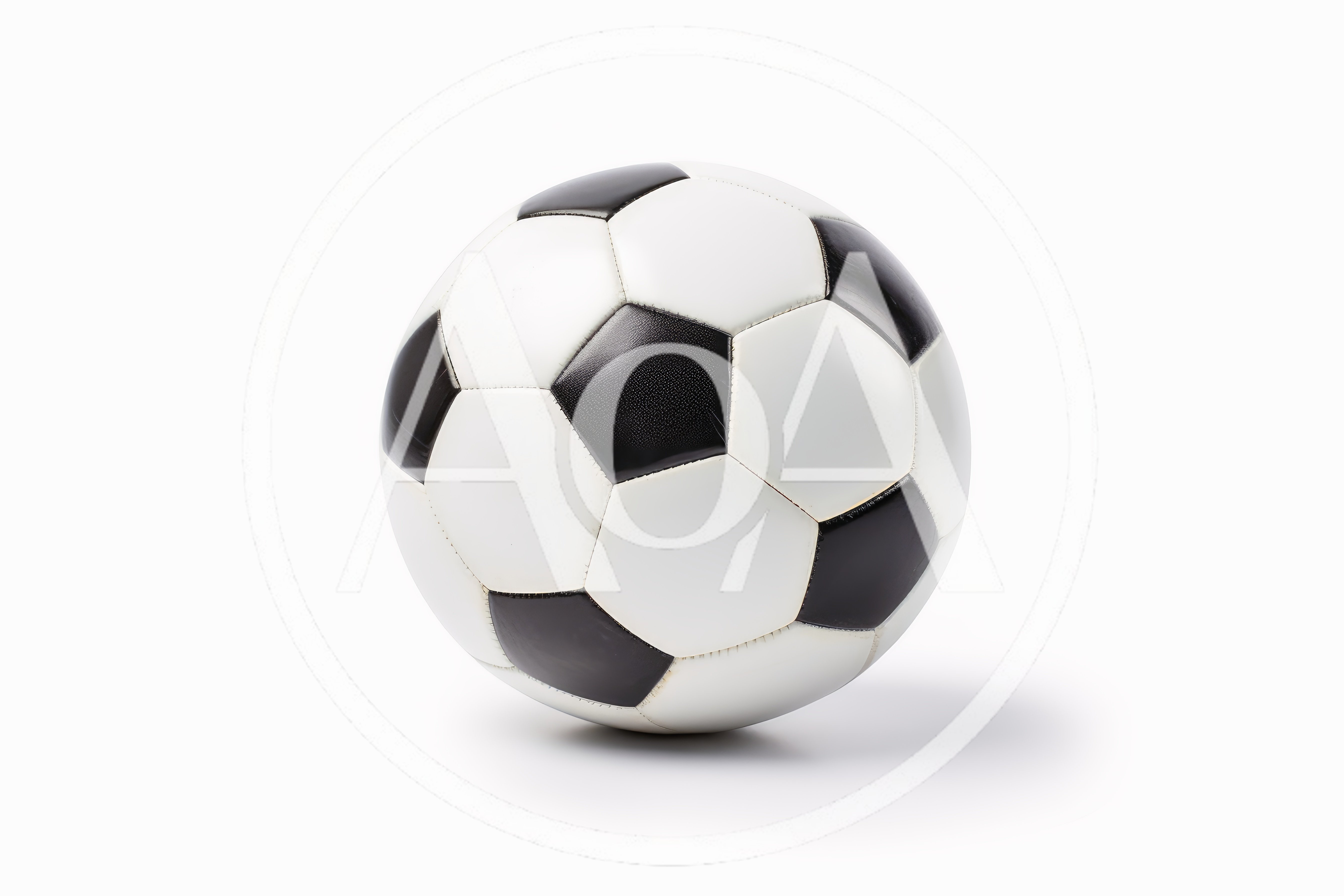Classic Black and White Soccer Ball Isolated