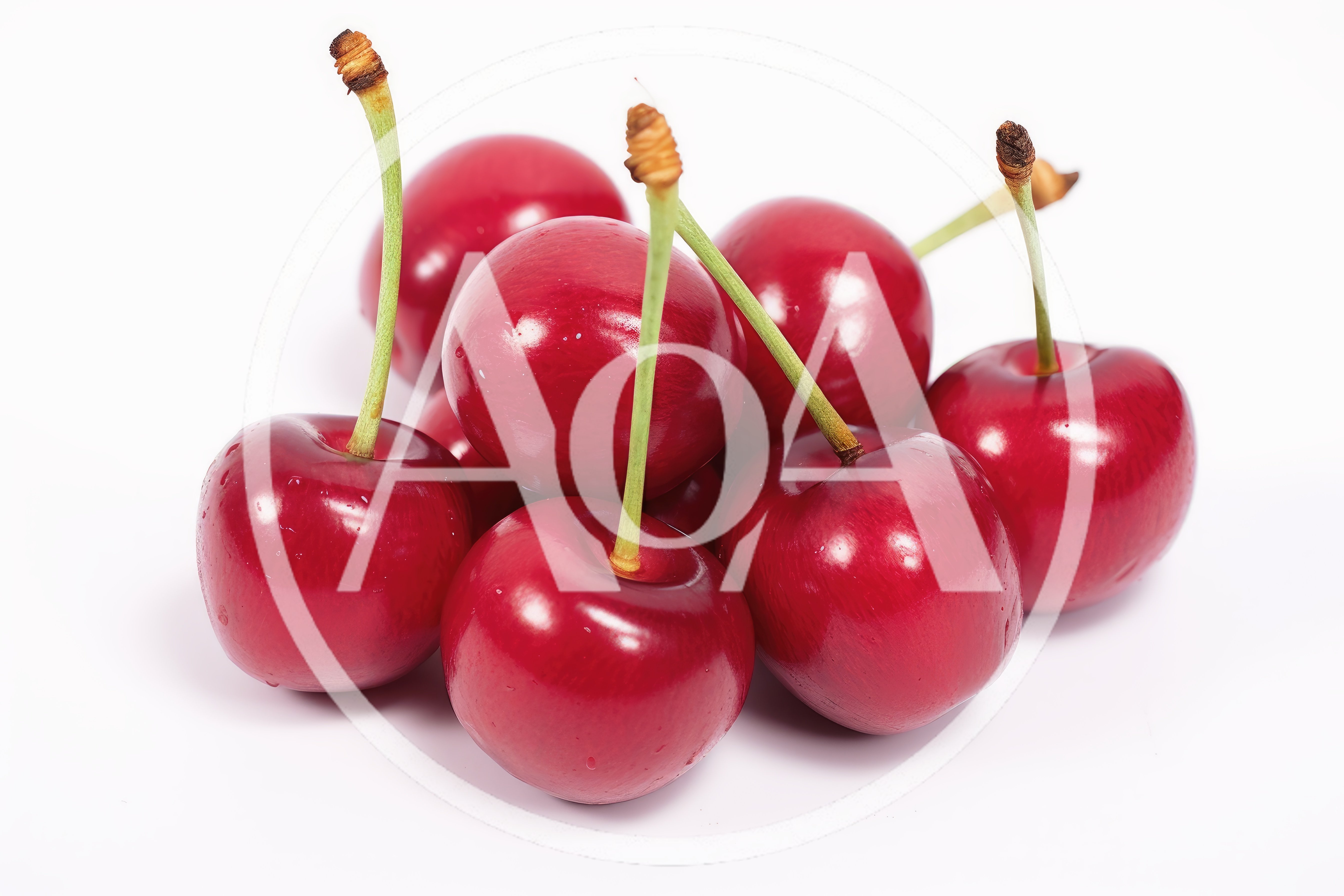 Fresh Red Cherries With Green Stems On White Background