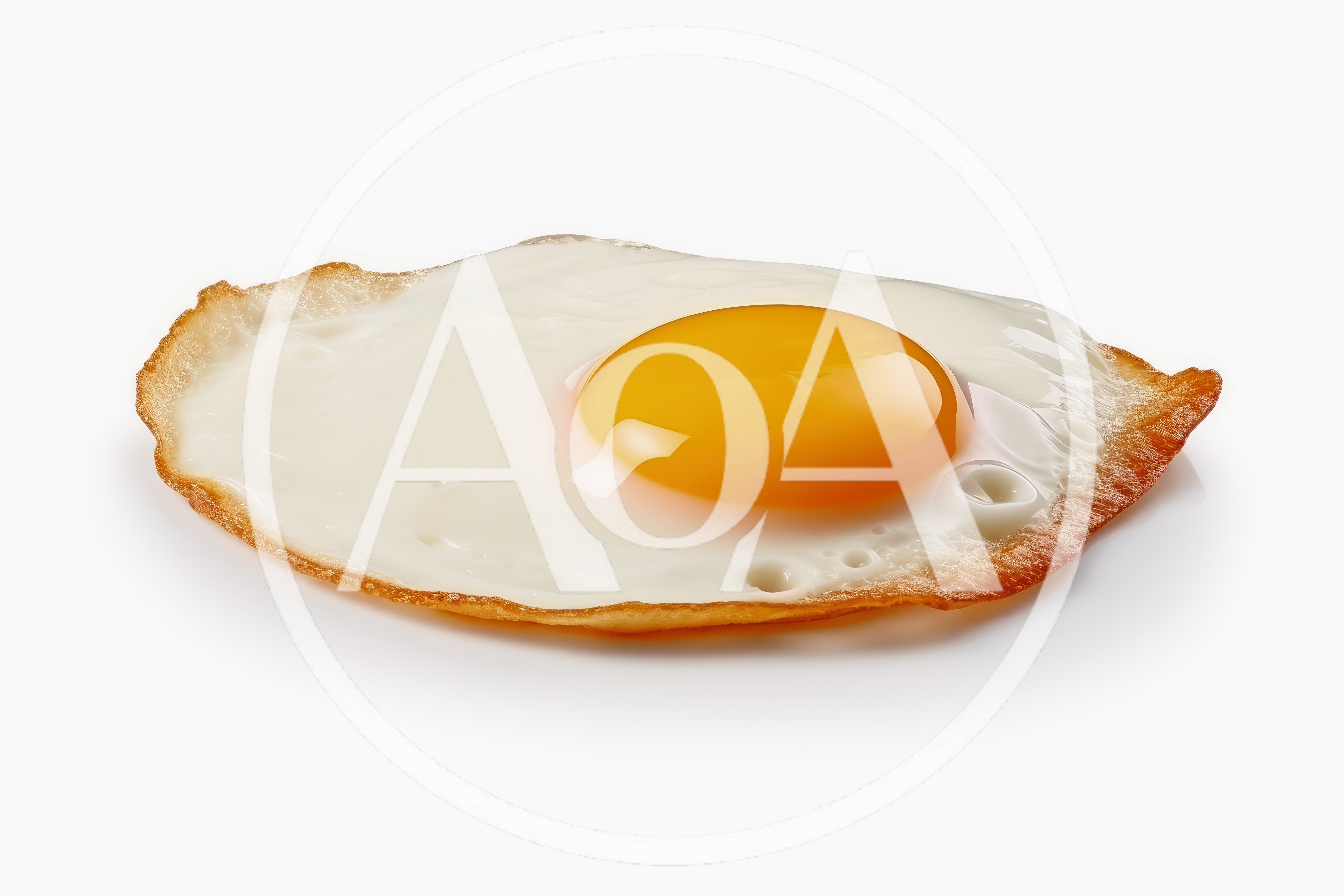 Single Fried Egg Isolated On White Background