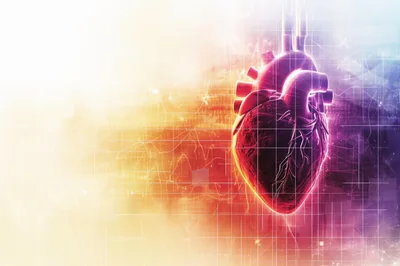 Digital Illustration Of A Human Heart