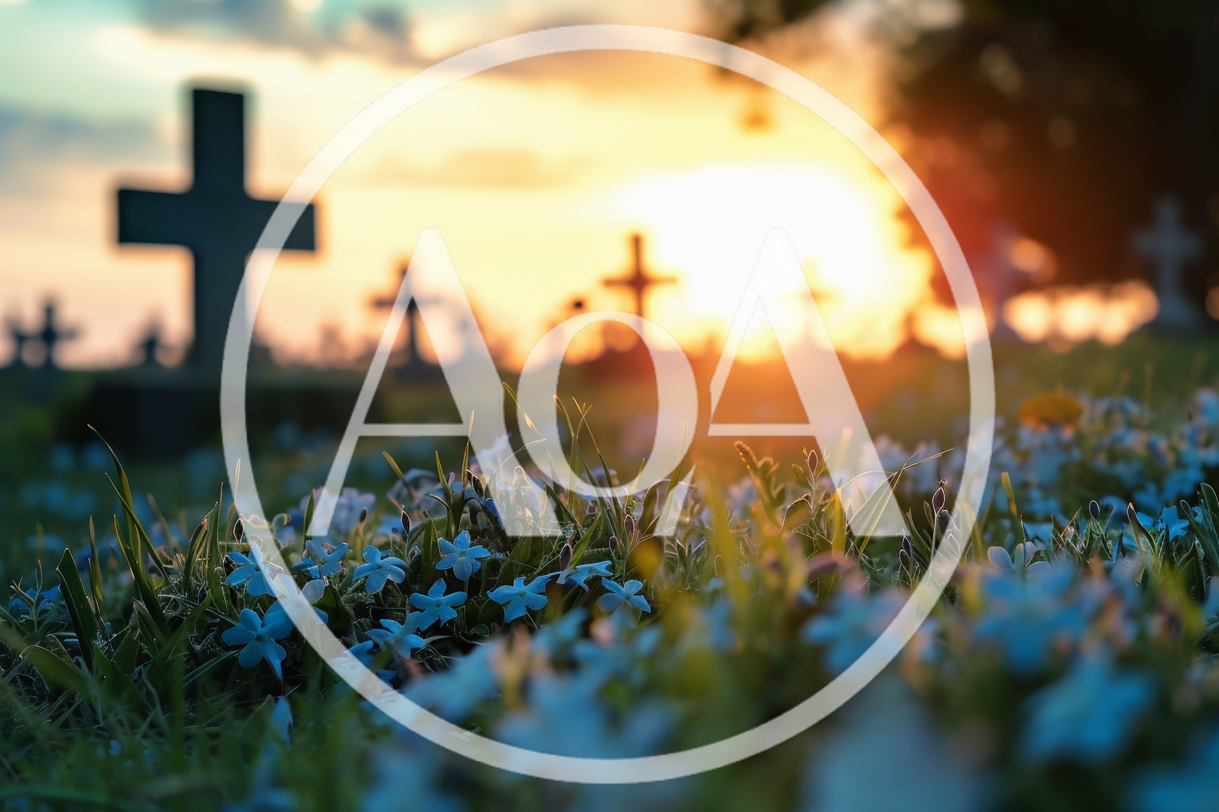 Cemetery Crosses At Sunset With Blue Flowers
