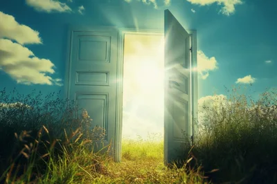 Open White Door Standing In A Sunny Meadow