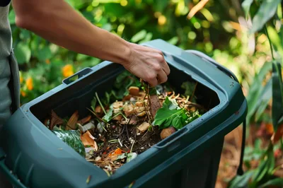 Person Adding Organic Waste To A Compost Bin