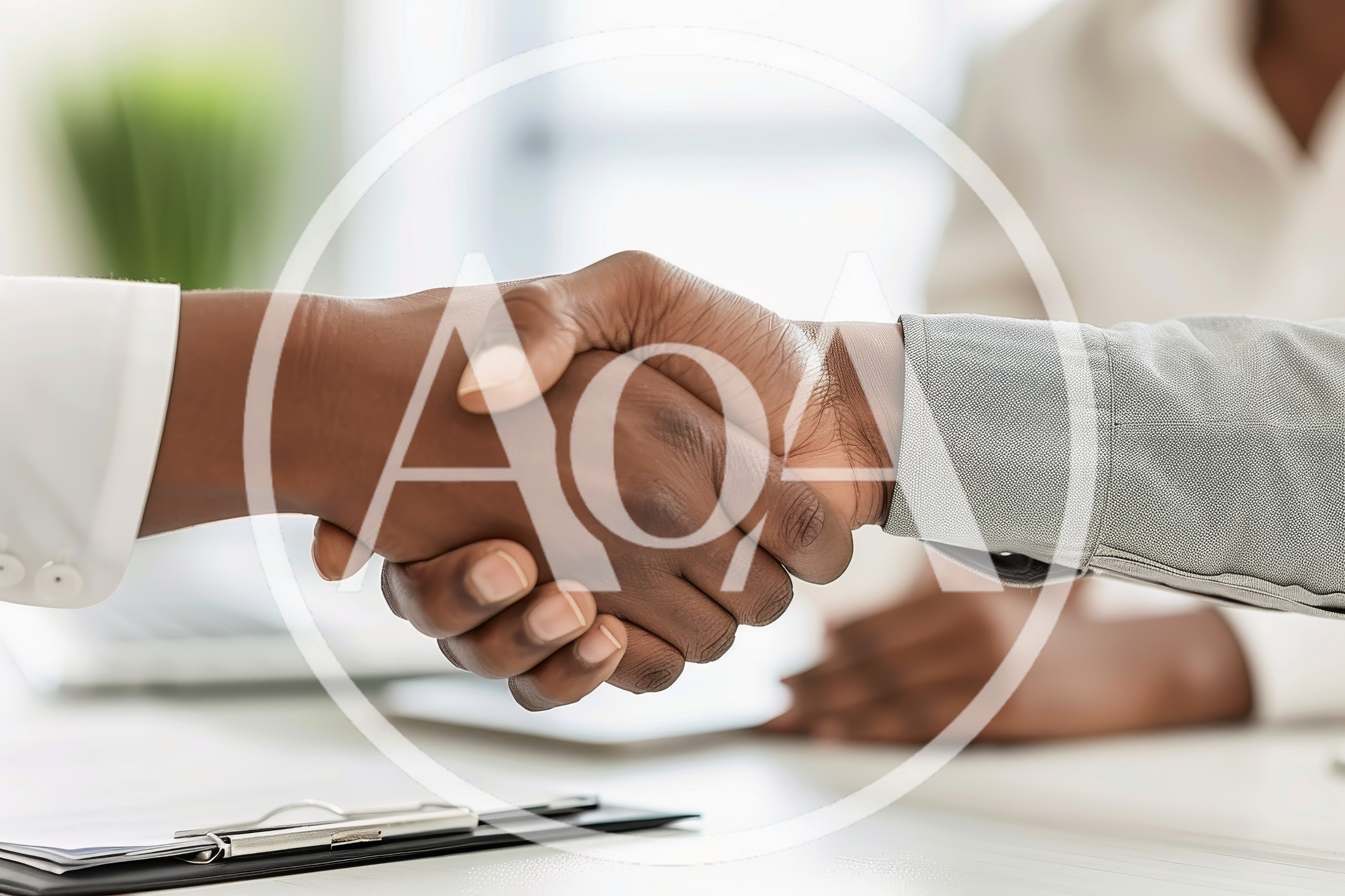 Professional Handshake Between Two Business Partners