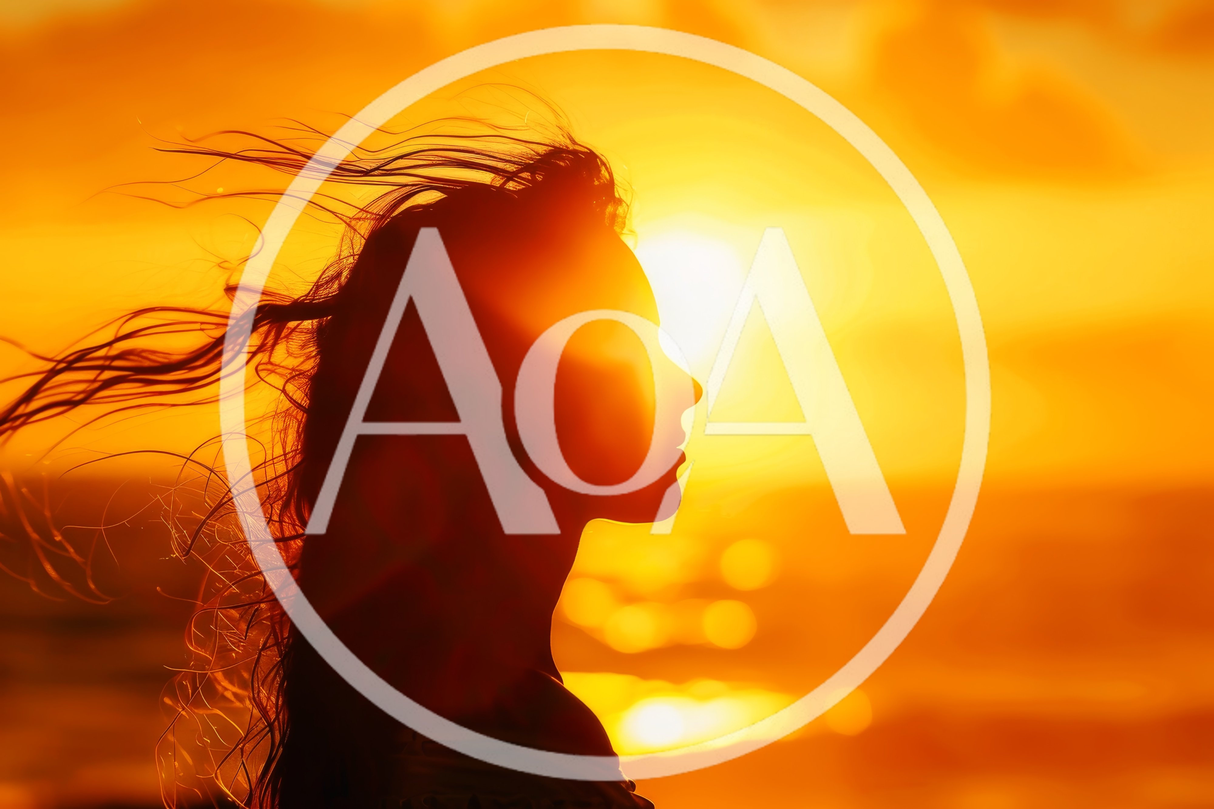 Silhouette Of A Woman With Flowing Hair At Sunset