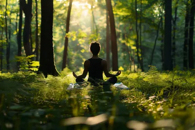 Person Meditating In A Sunlit Forest