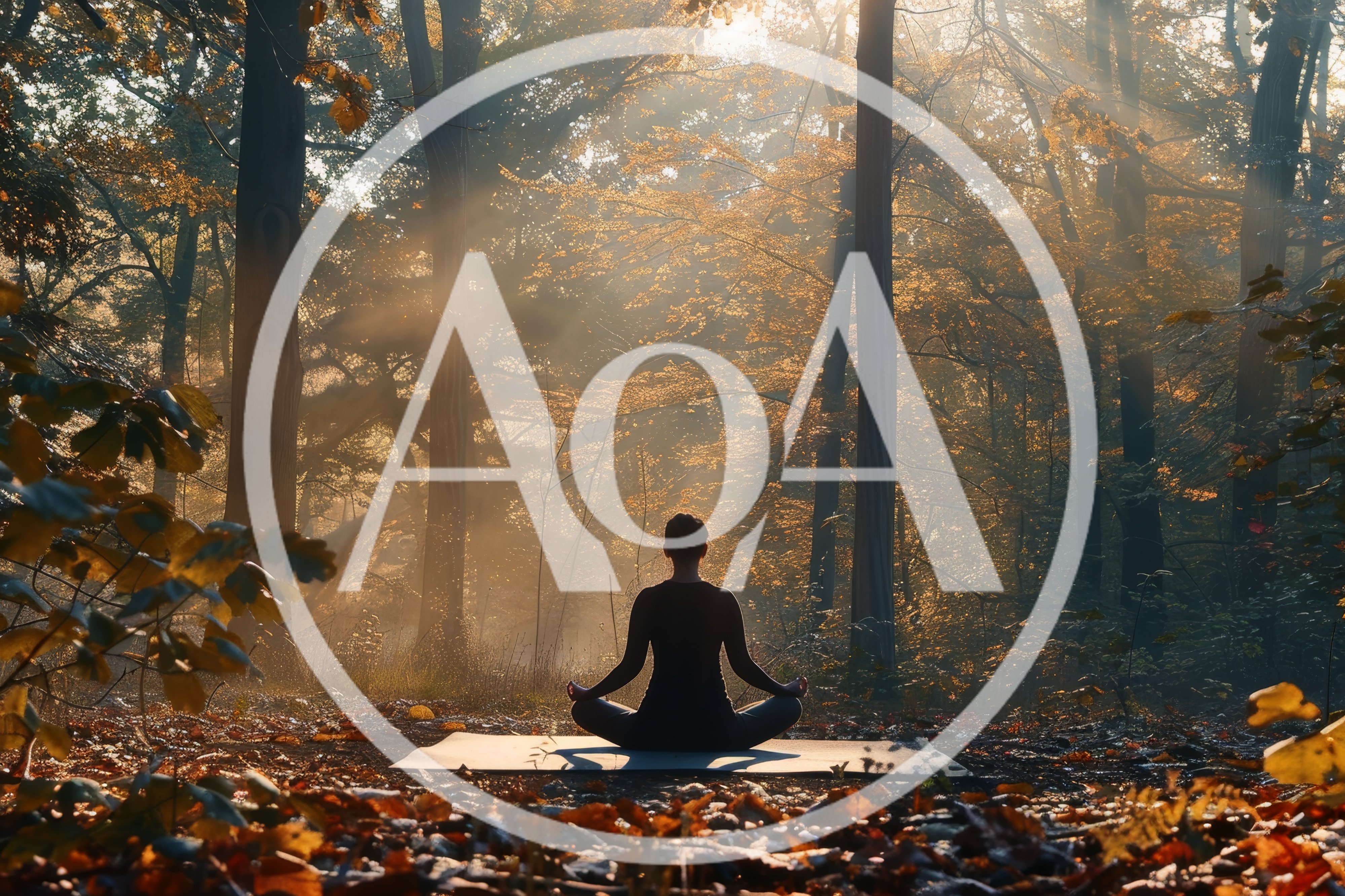 Person Meditating In A Sunlit Autumn Forest