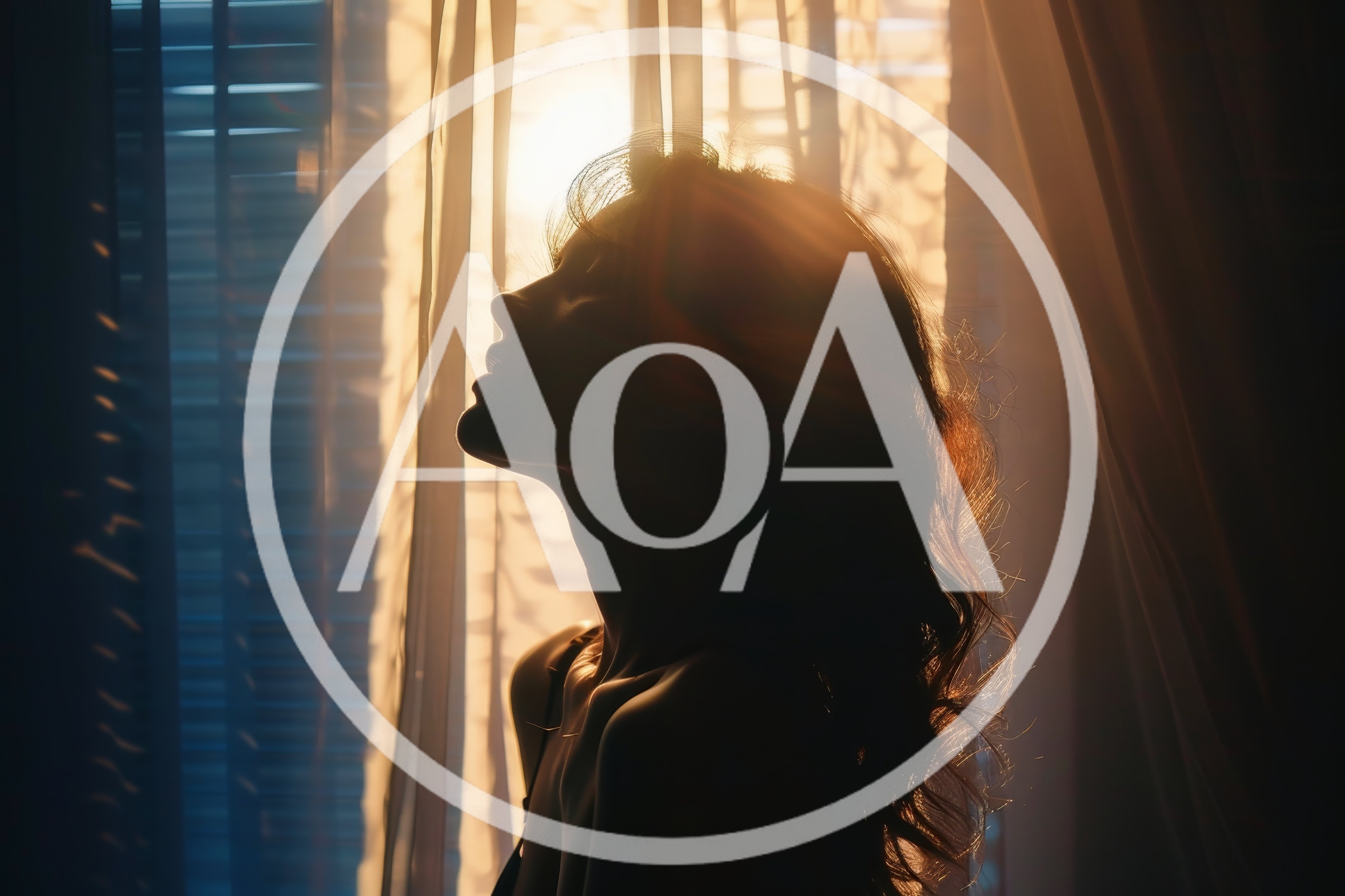 Silhouette Of A Woman Standing By A Window