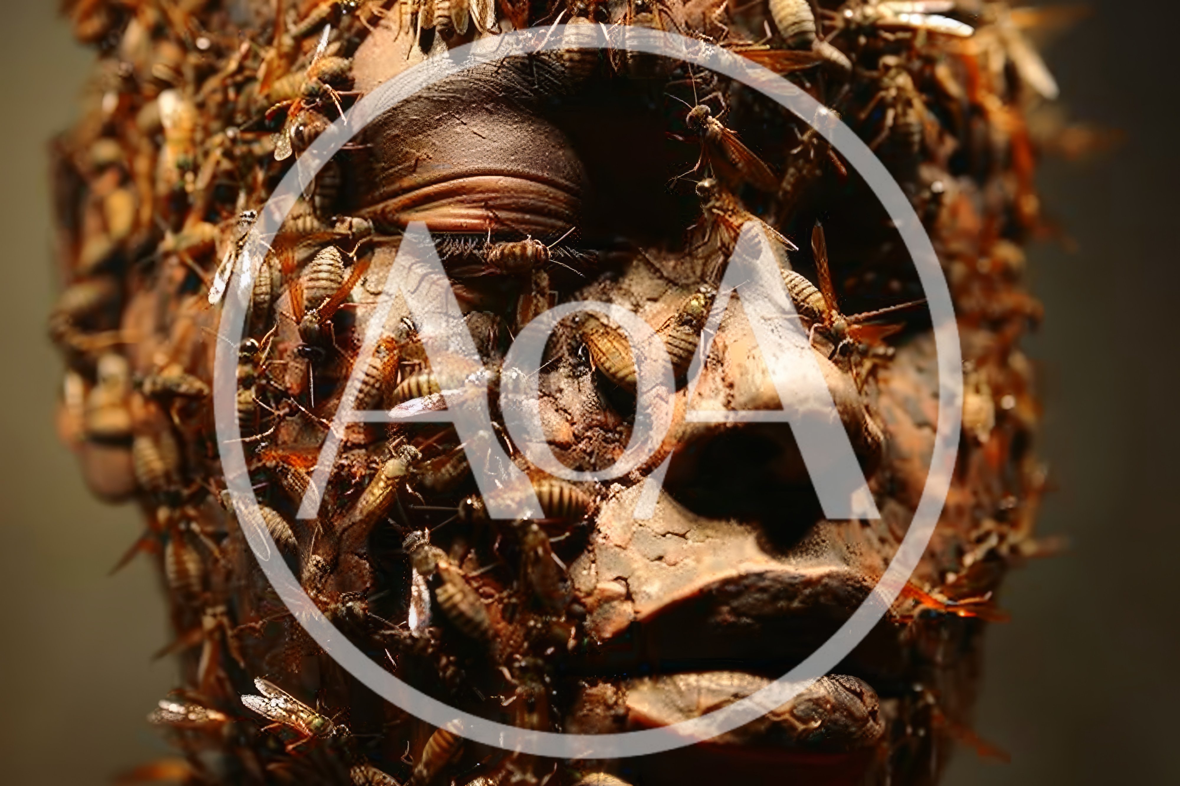 Surreal Sculpture Of Human Face Covered In Insects