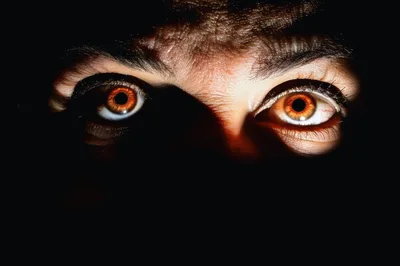 Close Up Of Human Eyes Emerging From Darkness