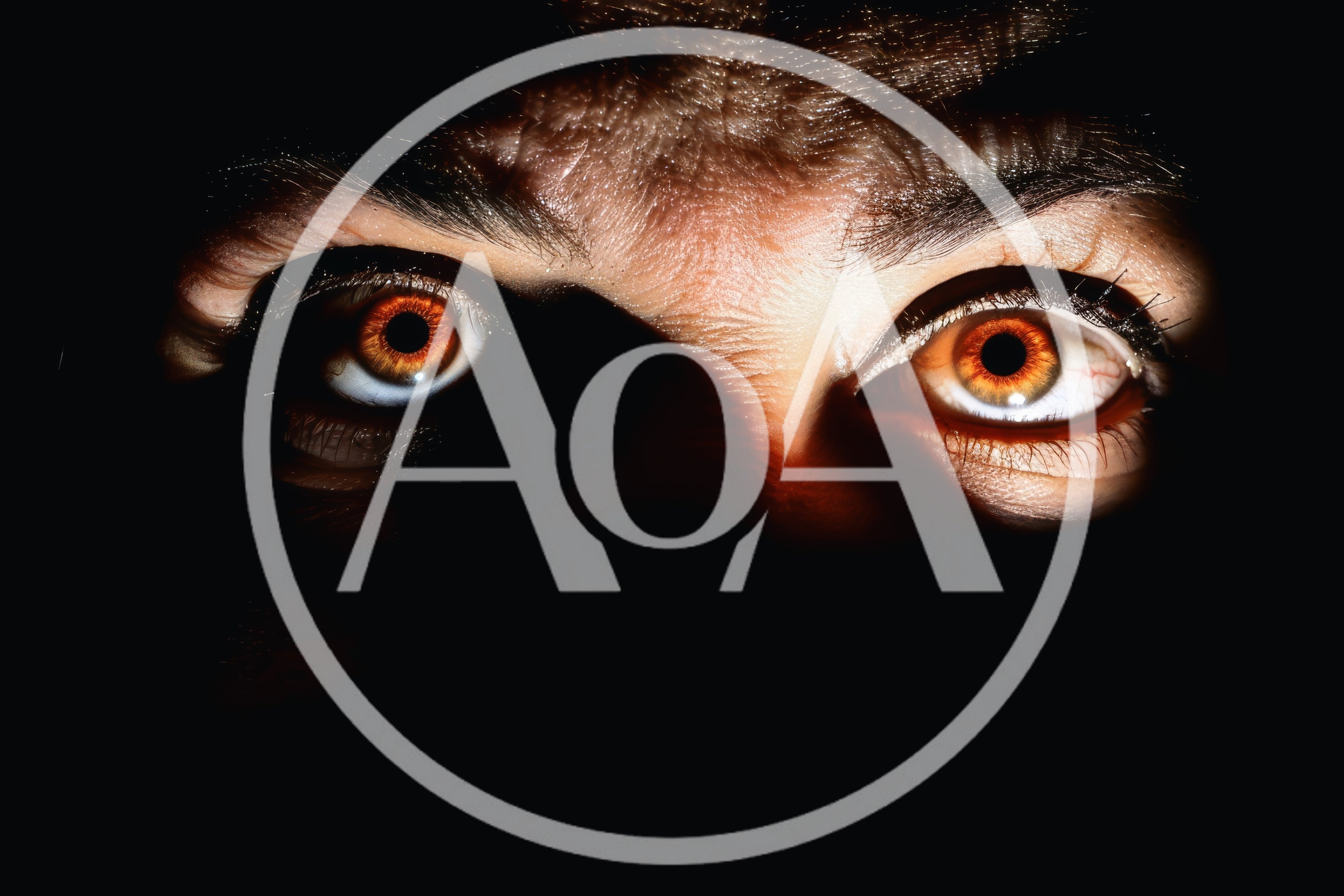 Close Up Of Human Eyes Emerging From Darkness