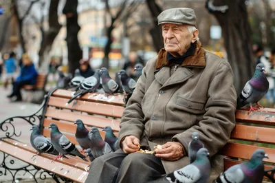Elderly Man Feeding Pigeons on a Park Bench