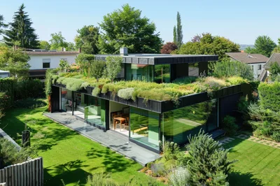 Modern Residential House With Green Roof And Garden