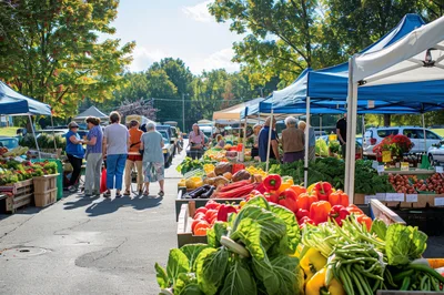 People Shopping At A Sunny Outdoor Farmers Market