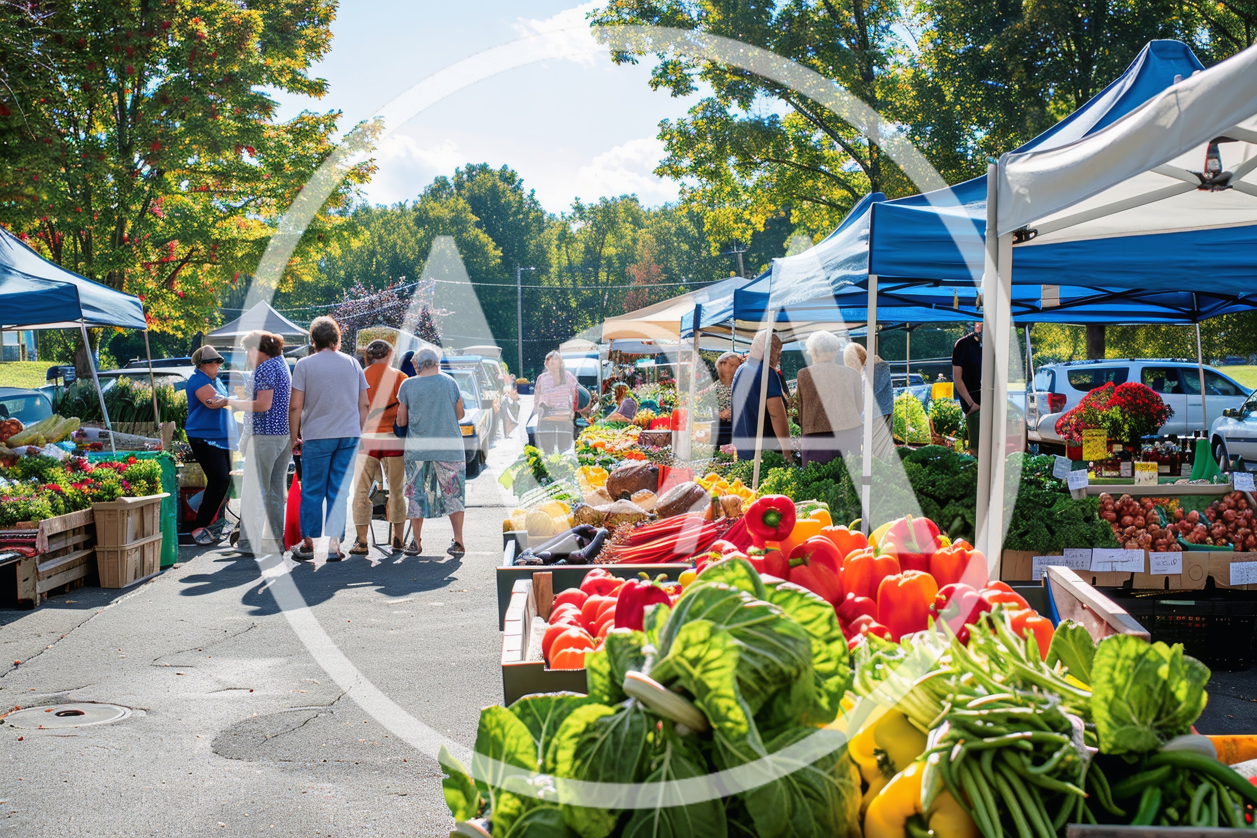People Shopping At A Sunny Outdoor Farmers Market