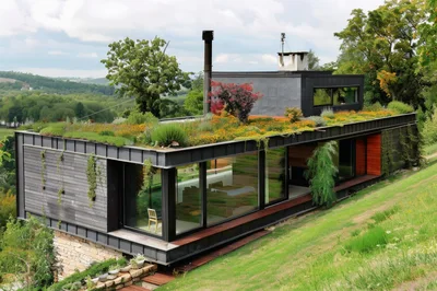 Modern Sustainable House With Green Roof In Nature