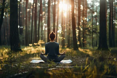 Woman Meditating In A Sunlit Pine Forest