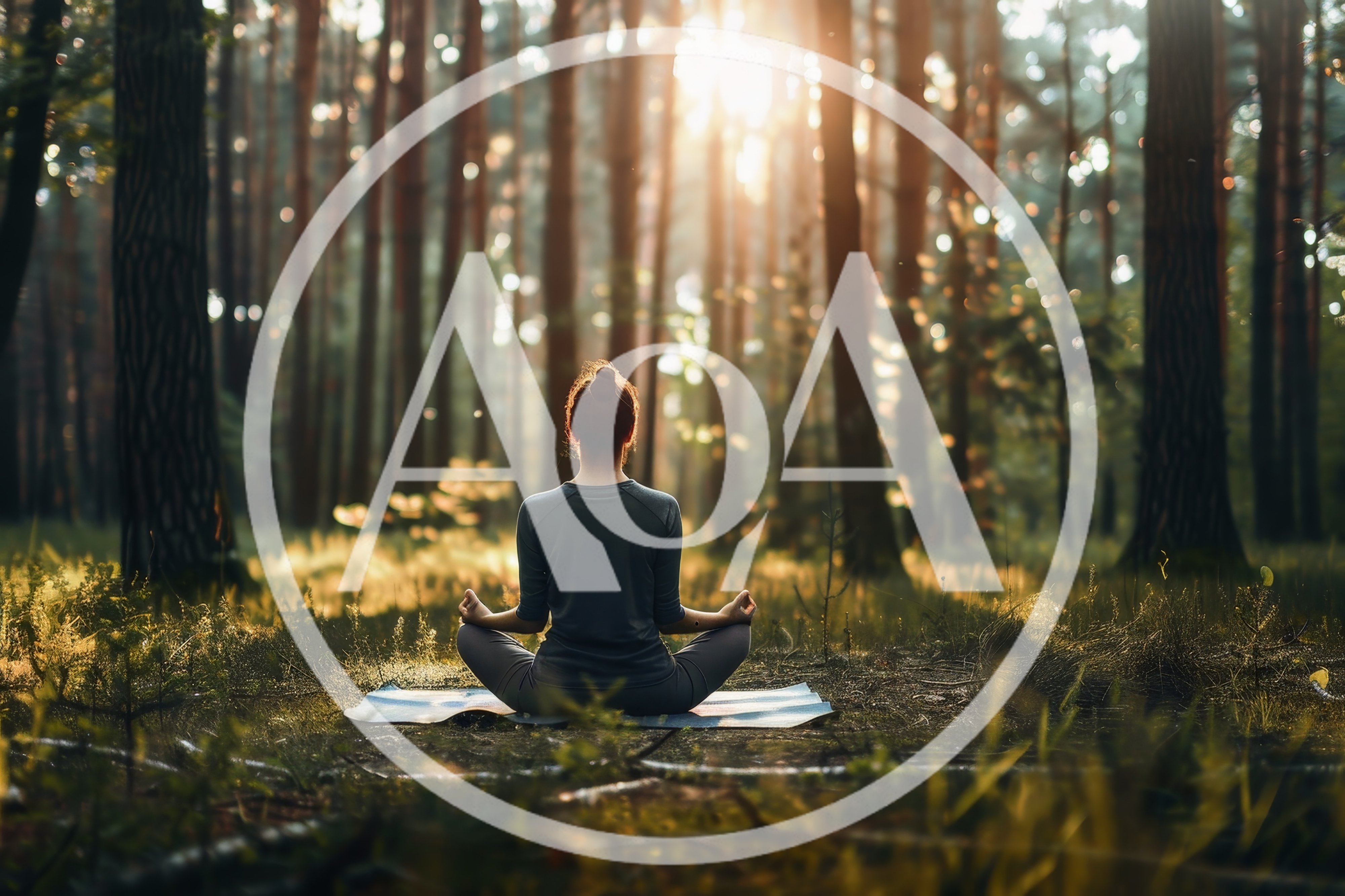 Woman Meditating In A Sunlit Pine Forest