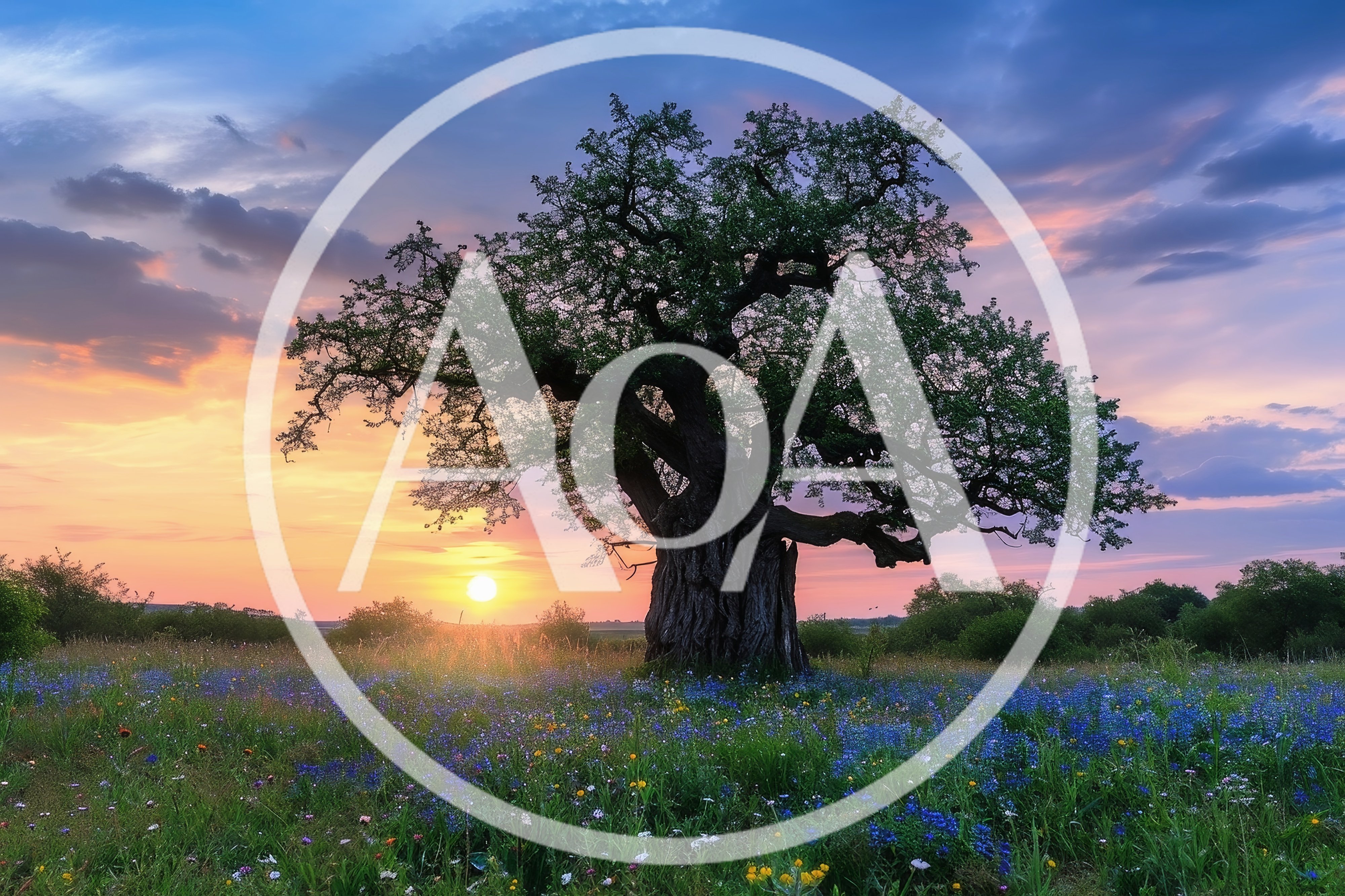 Ancient Oak Tree in a Wildflower Meadow at Sunset