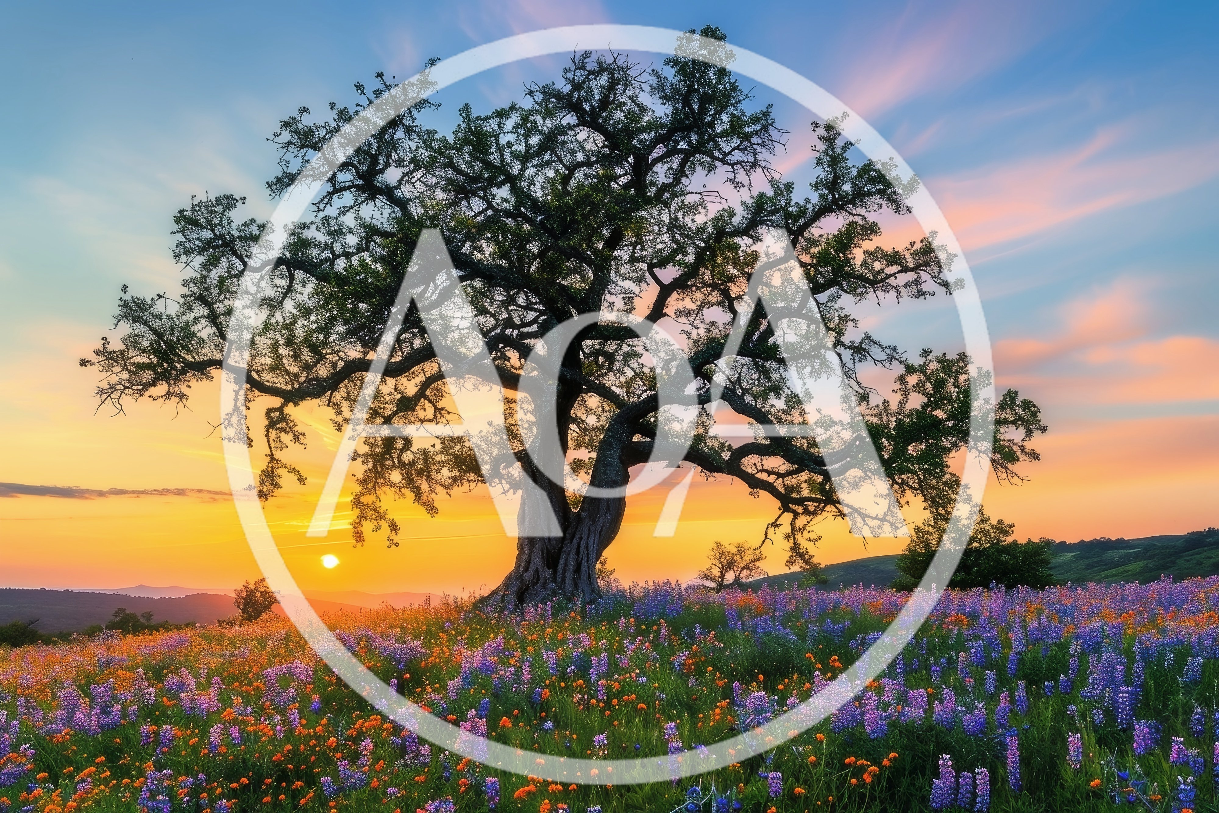 Majestic Oak Tree In A Vibrant Wildflower Meadow