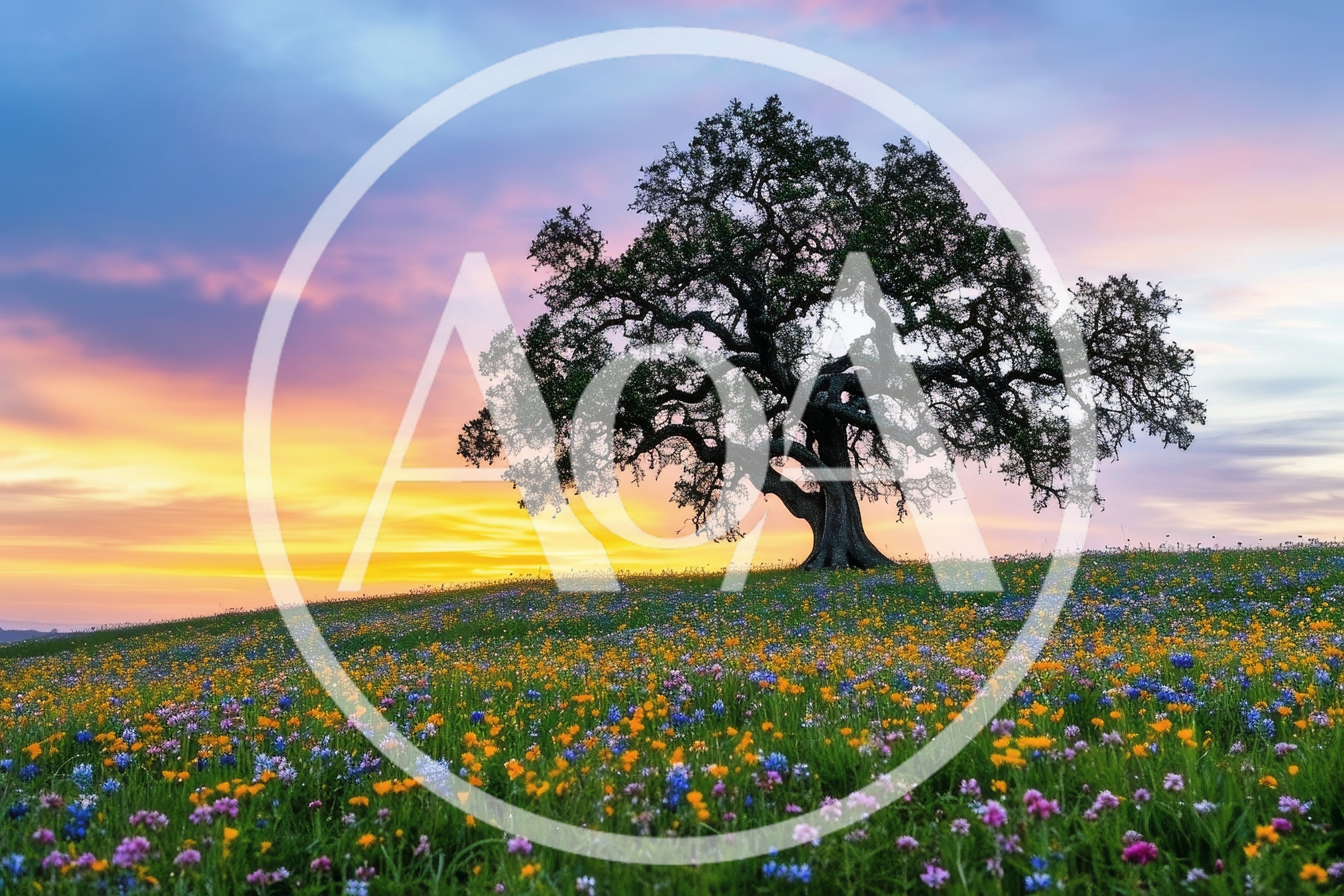 Majestic Oak Tree In A Vibrant Wildflower Meadow
