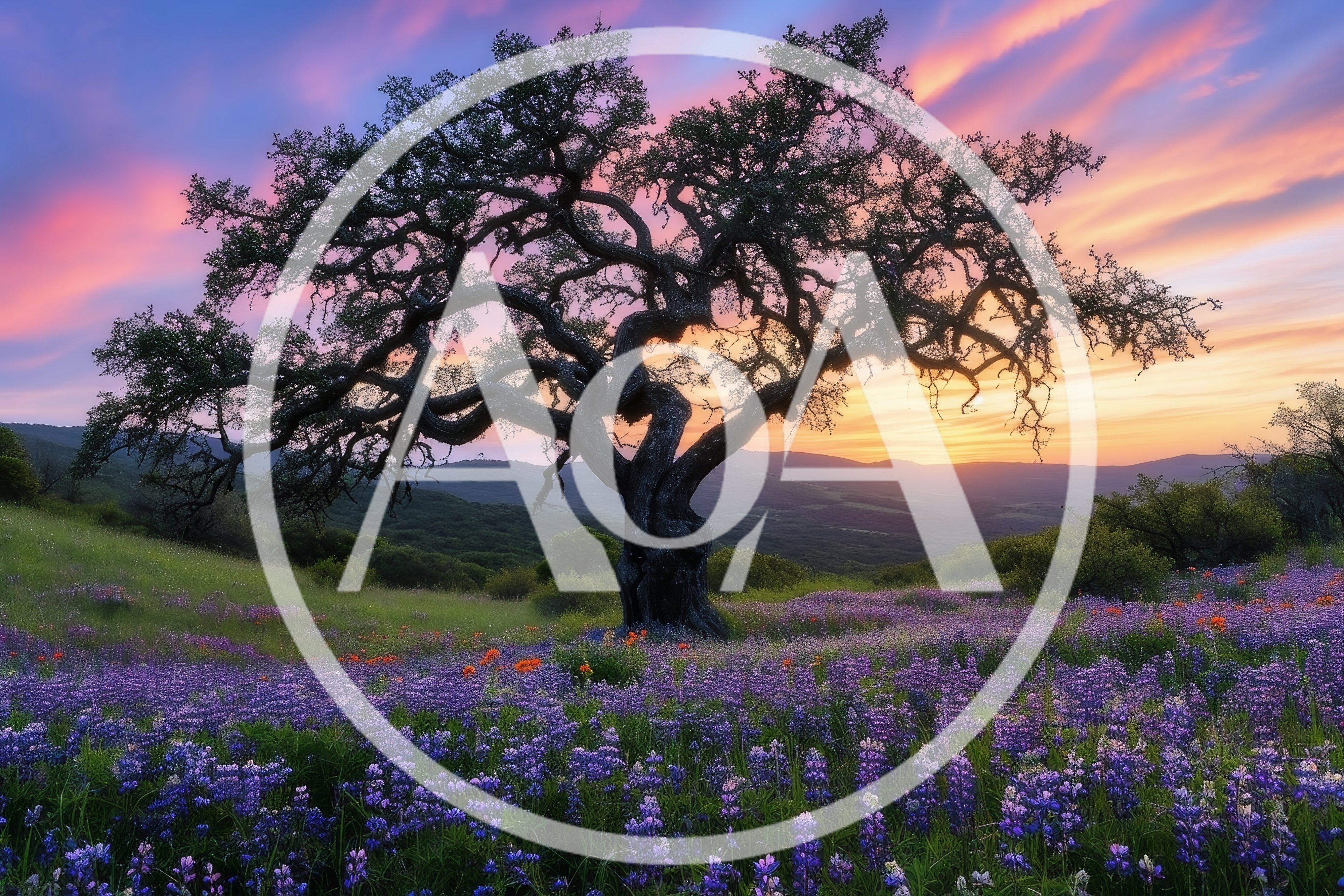 Majestic Oak Tree In A Field Of Purple Lupine