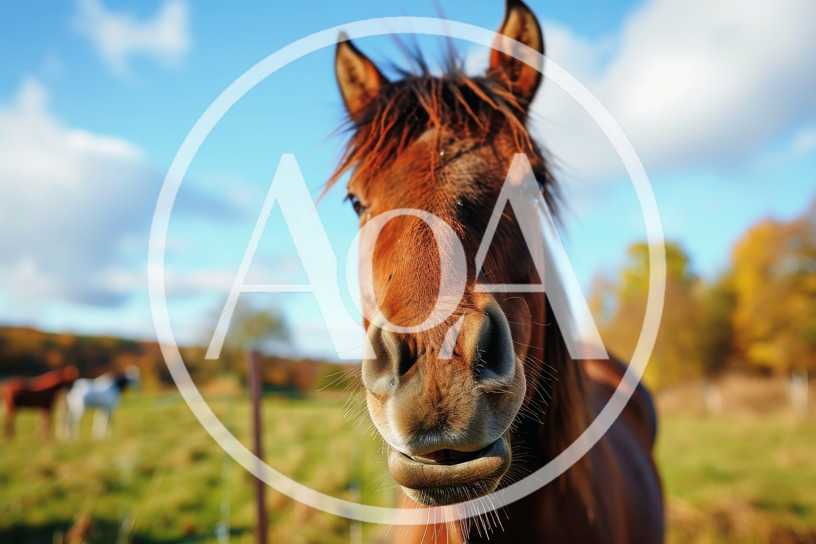 Close Up Portrait Of A Brown Horse In A Field
