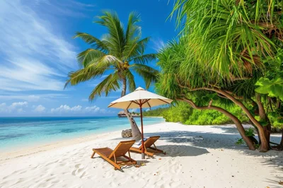 Empty Wooden Beach Chairs Under Umbrella On Tropical Shore