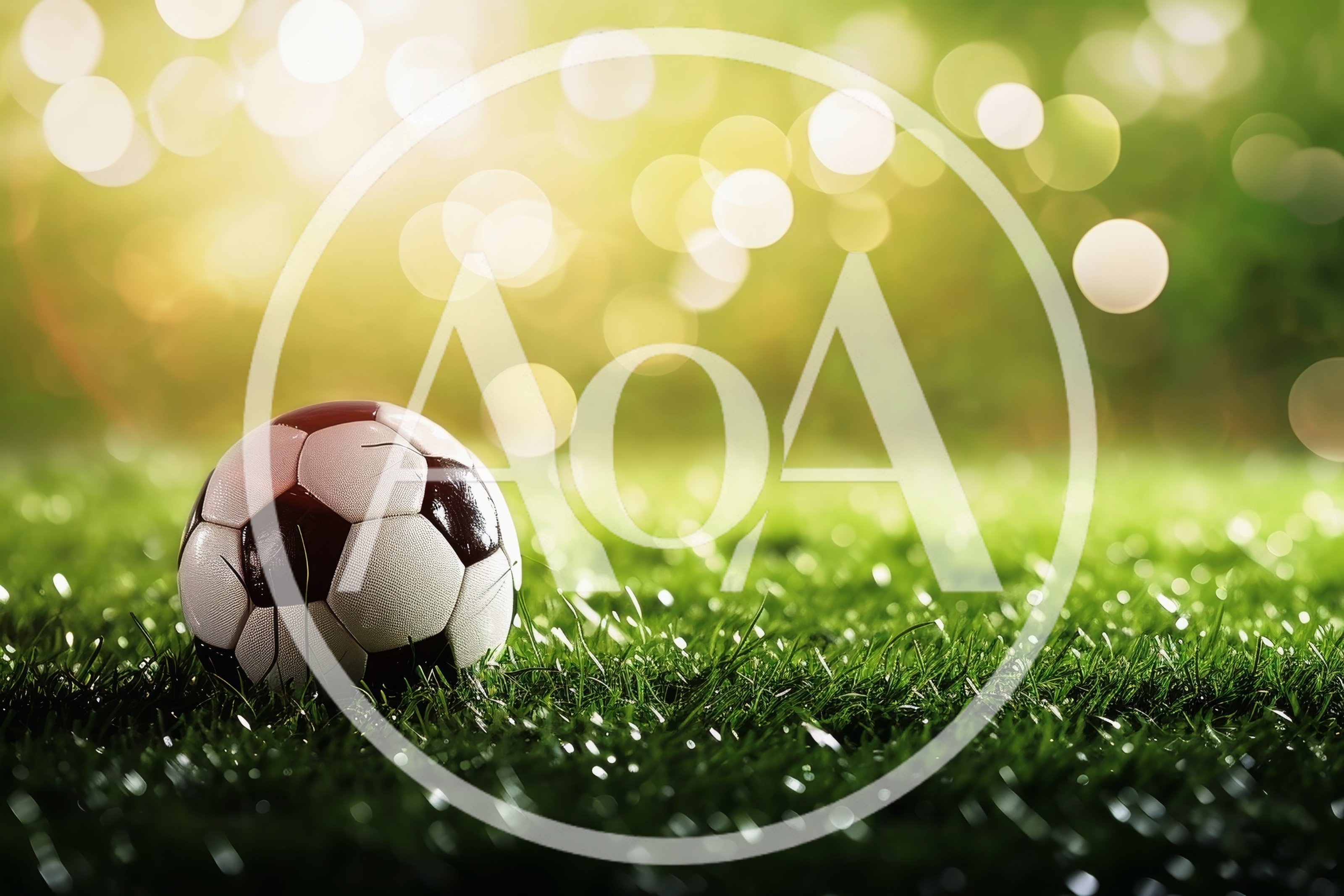 Soccer Ball Resting On Green Grass Field