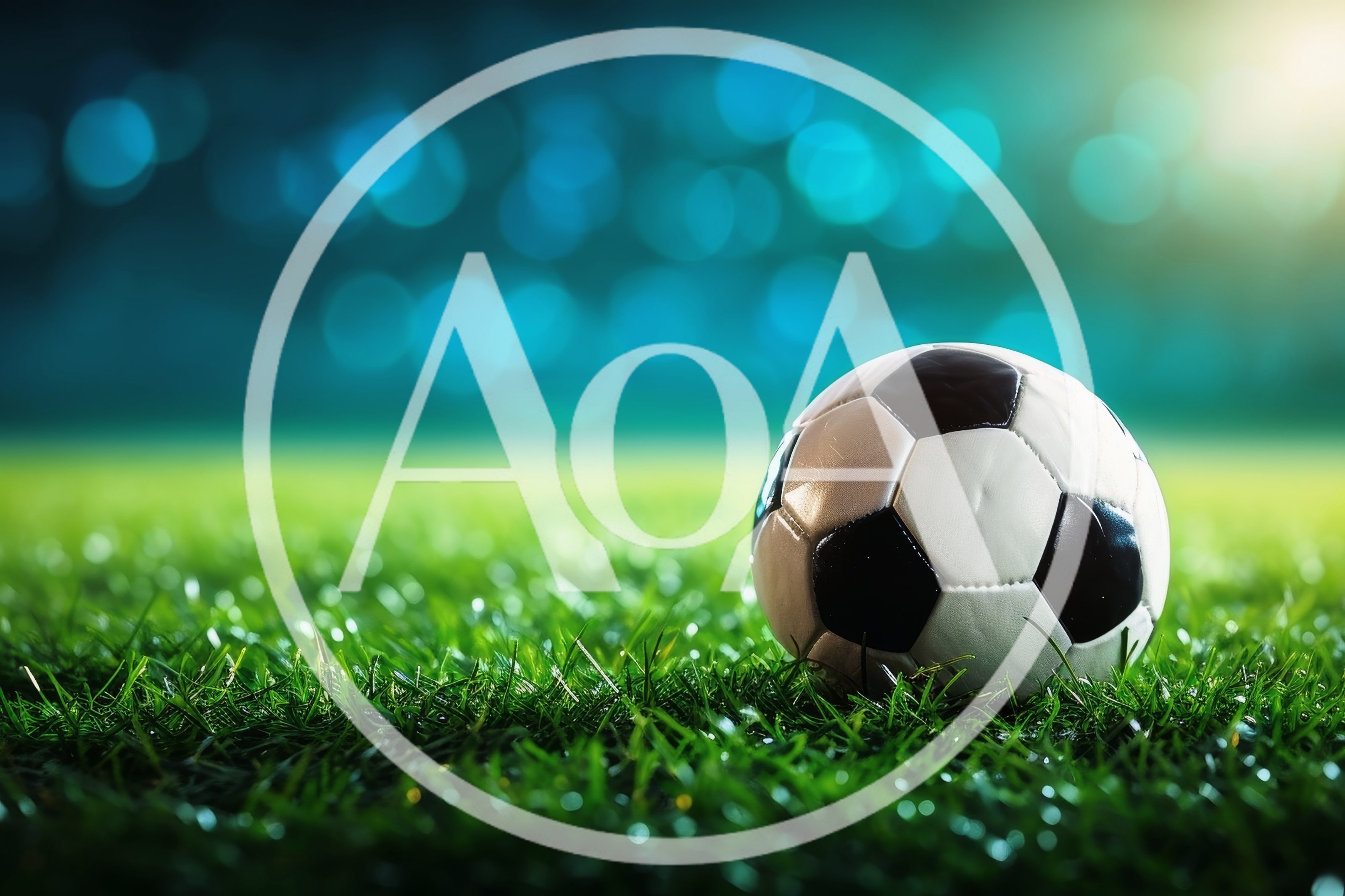 Soccer Ball Resting On Green Grass Field