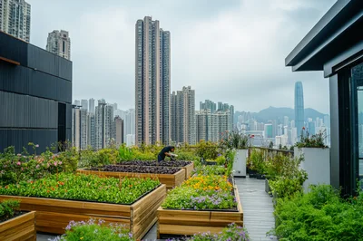 Urban Rooftop Garden With Person Tending Plants