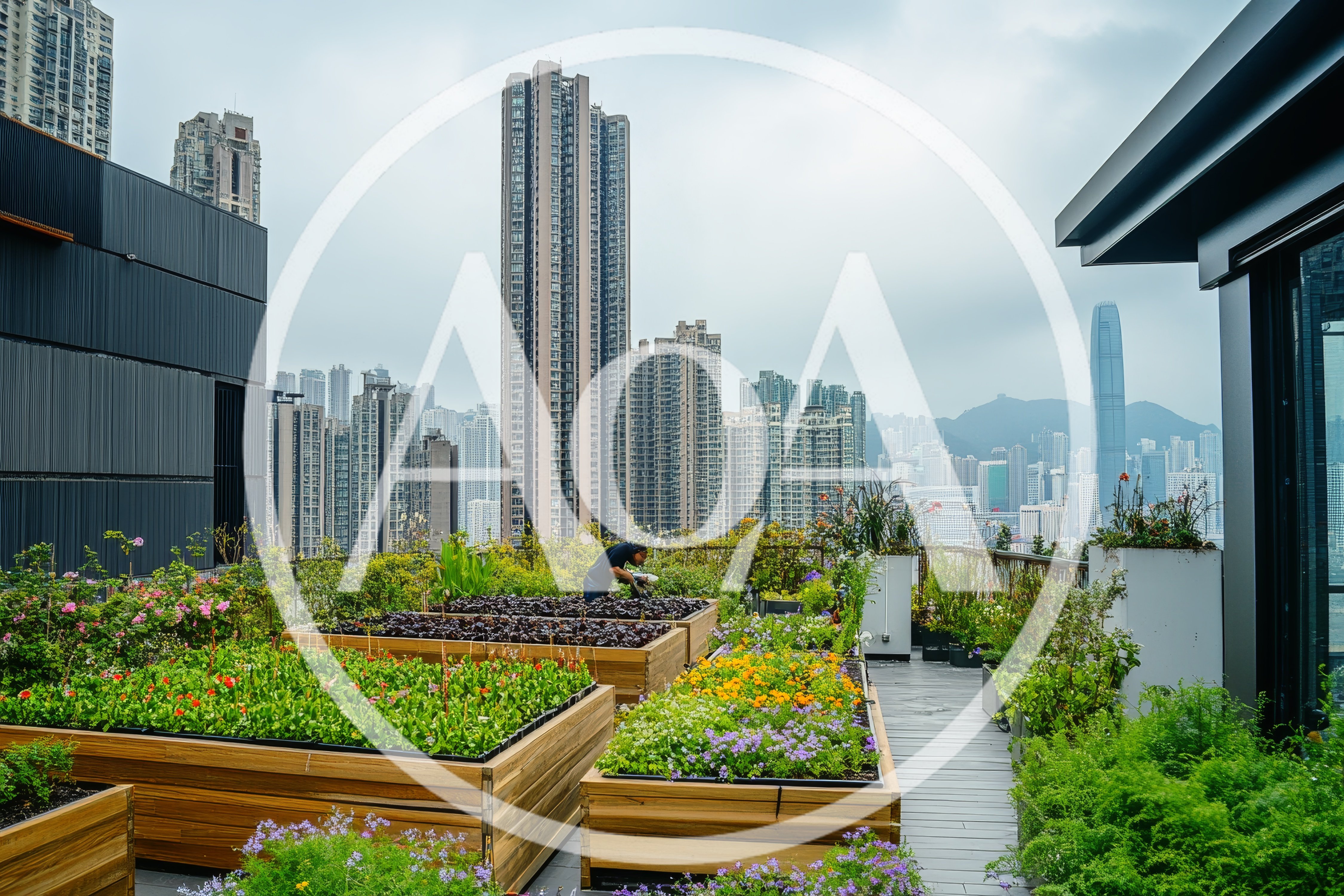 Urban Rooftop Garden With Person Tending Plants