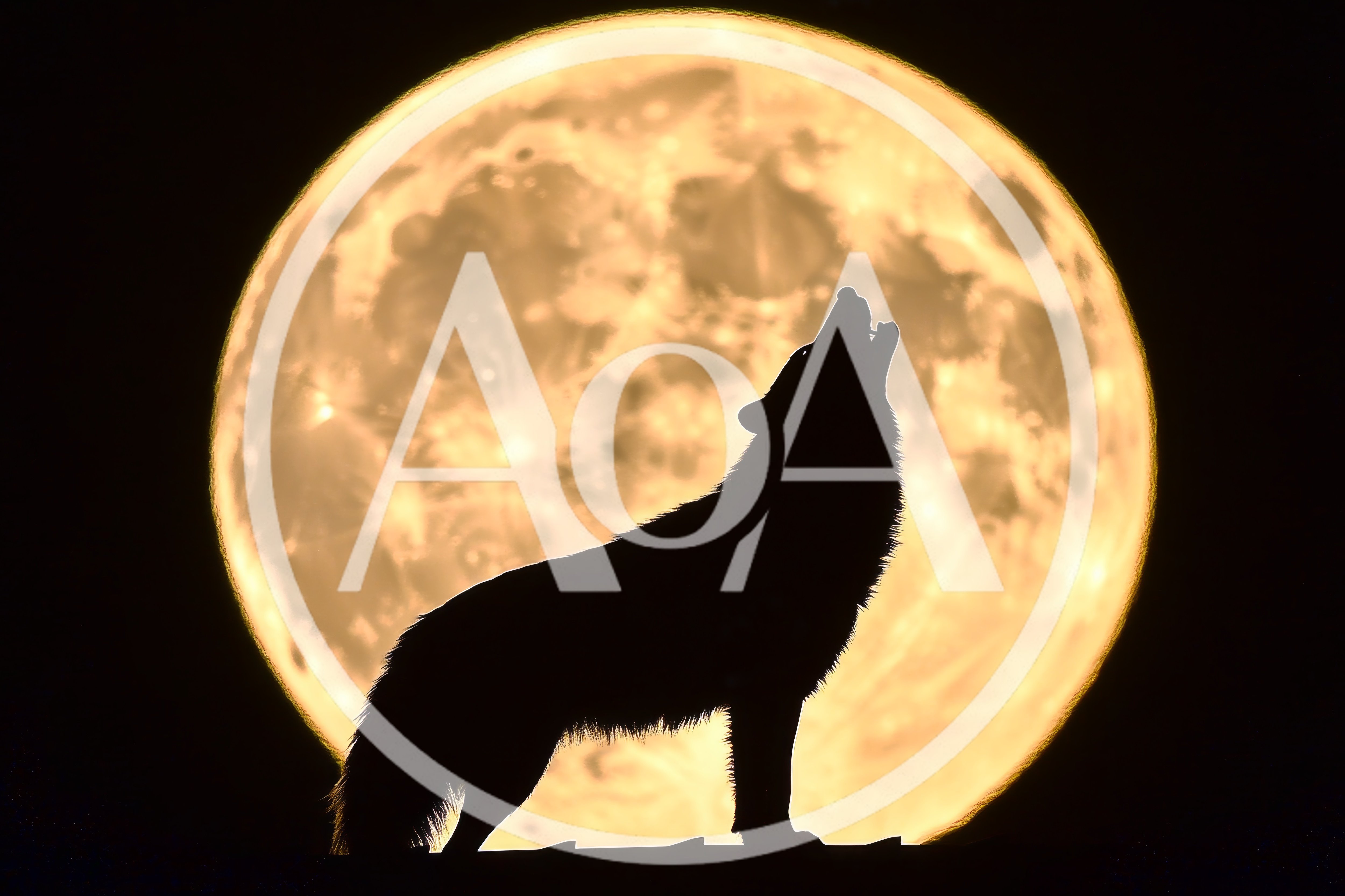 Silhouette Of A Wolf Howling At A Full Moon