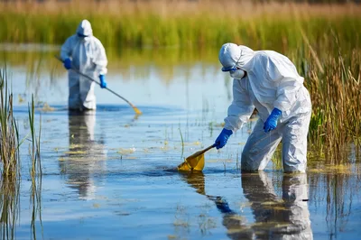 Environmental Scientists Collecting Water Samples In Protective Suits