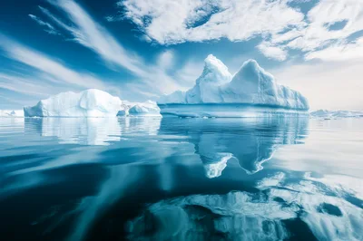 Large Icebergs Floating In Calm Antarctic Waters