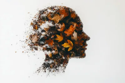 Human Head Silhouette Filled With Autumn Leaves And Snow