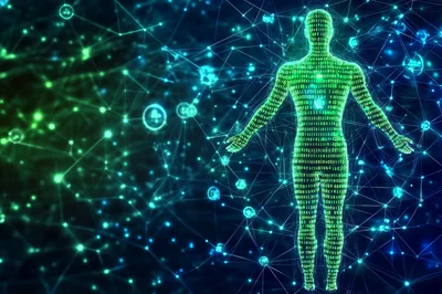 Digital Human Silhouette Composed Of Binary Code Data