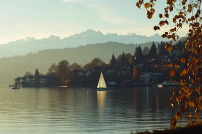 Sailboat On Lake Lucerne With Snowy Mountain Backdrop